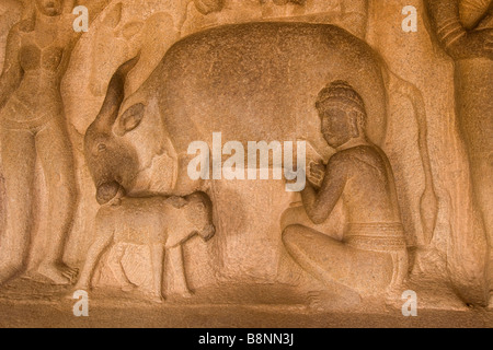 L'Inde Tamil Nadu Mamallapuram Krishna Mandapa sculpture de l'homme à la vache à traire Banque D'Images