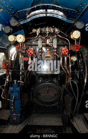 'Pied' et les contrôles de Canards colverts au National Railway Museum, York, Royaume-Uni Grande-Bretagne Banque D'Images