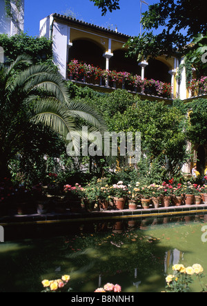 Jardin, dans la Casa de Pilatos Séville Andalousie Espagne Banque D'Images