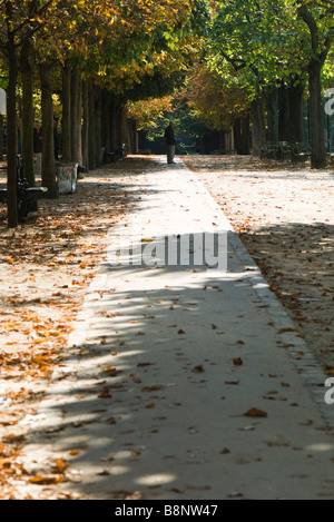 France, Paris, les feuilles éparpillées dans path in park Banque D'Images