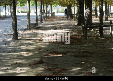 France, Paris, feuilles tombées éparpillés dans parc ombragé Banque D'Images