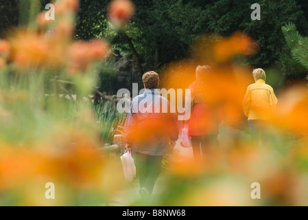 France, Paris, Buttes Chaumont, les piétons circulant dans parc, vue à travers les fleurs Banque D'Images