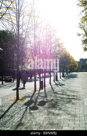 La Suède, Stockholm, les piétons marchant le long chemin bordé d'arbres Banque D'Images