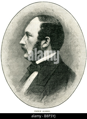 Le Prince Albert de Saxe-Cobourg Gotha Francis 1819 1861 La Reine Victoria United Kingdom Grande-Bretagne Irlande Banque D'Images