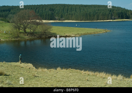 Llyn Clywedog Réservoir en Powys Pays de Galles près de Llanidloes Banque D'Images