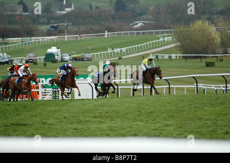 Chevaux à l'Cheltneham Gold Cup course vers la ligne d'arrivée pour faire une course serrée Banque D'Images