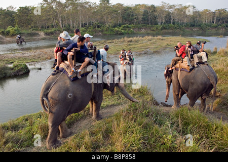 Des promenades en éléphant sont une des attractions principales dans Chitwan Parc national royal de Chitwan Népal Banque D'Images