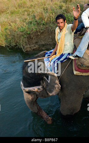 Des promenades en éléphant sont une des attractions principales dans Chitwan Parc national royal de Chitwan Népal Banque D'Images