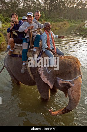 Des promenades en éléphant sont une des attractions principales dans Chitwan Parc national royal de Chitwan Népal Banque D'Images