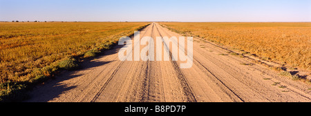 Route de l'outback du Queensland, Australie Banque D'Images