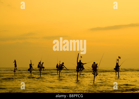 Pêcheurs sur pilotis et un coucher du soleil doré dans le sud du Sri Lanka. Banque D'Images