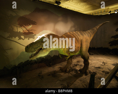 Déménagement Tyrannosaurus Rex lifesize modèle dans l'histoire naturelle de Londres UK Banque D'Images