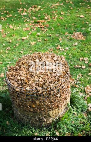 Bac à compost Banque D'Images