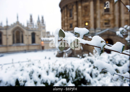 Radcliffe College et toutes les âmes vu à travers les arbres dans le jardin d'Exeter Banque D'Images