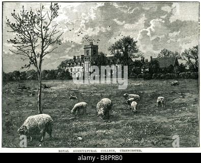 Royal Agricultural College de l'Université de Gloucestershire cirencester Cotswolds Angleterre Banque D'Images