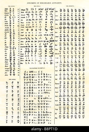 Divers alphabets anciens : le copte, le syriaque, le Ethioptic, gothique, et d'Illyrie Servian. Gravure sur bois avec un lavage à l'aquarelle Banque D'Images