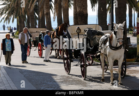 Taxi tiré par des chevaux dans le centre-ville de Nerja, dans le sud de l'Espagne pour les attendre sur le bord de la route Banque D'Images