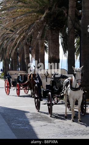 Taxi tiré par des chevaux dans le centre-ville de Nerja, dans le sud de l'Espagne pour les attendre sur le bord de la route Banque D'Images