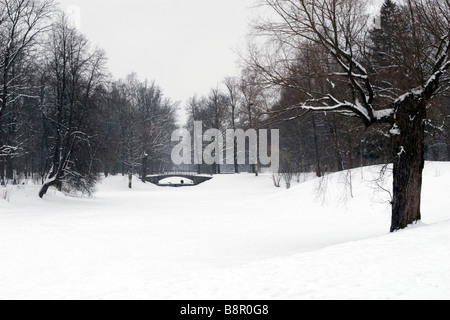 Scène d'hiver avec arbre couvert de Snow Lake et le pont en arrière-plan. Banque D'Images