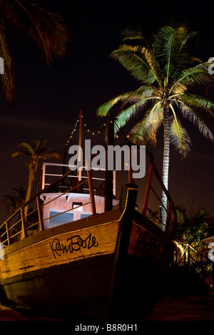 Scène nigth tropical lumineux avec voile et palm. Banque D'Images