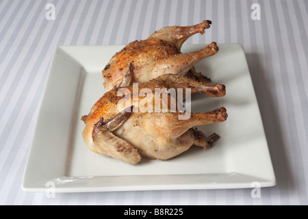 Photo de cornouailles rôti au four Banque D'Images