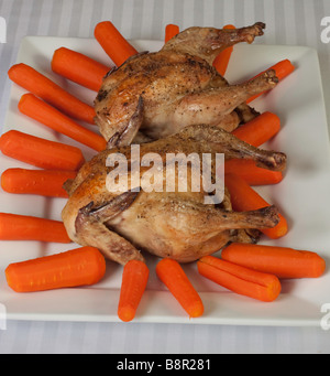 Photo de cornouailles rôti au four Banque D'Images