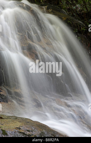 Cascade de Commonwealth Forest Park, Rawang, Malaisie Banque D'Images