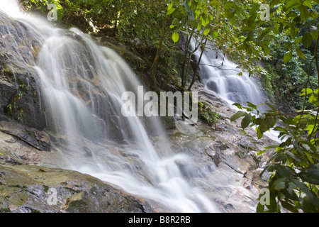 Cascade de Commonwealth Forest Park, Rawang, Malaisie Banque D'Images