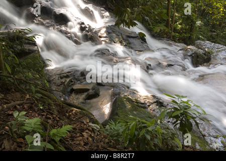 Cascade de Commonwealth Forest Park, Rawang, Malaisie Banque D'Images