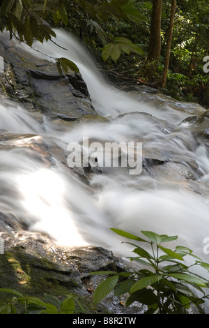 Cascade de Commonwealth Forest Park, Rawang, Malaisie Banque D'Images