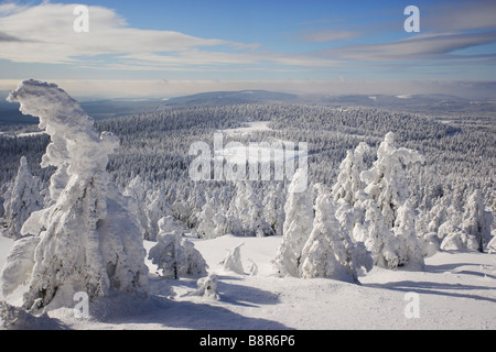 Arbres couverts de neige en hiver sur la montagne Brocken Banque D'Images