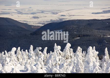 Arbres couverts de neige sur la montagne Brocken Banque D'Images