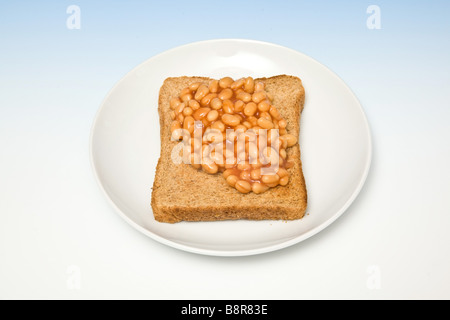 Plaque de base de l'assiette de haricots cuits au four sur pain grillé sur un fond bleu dégradé studio Banque D'Images
