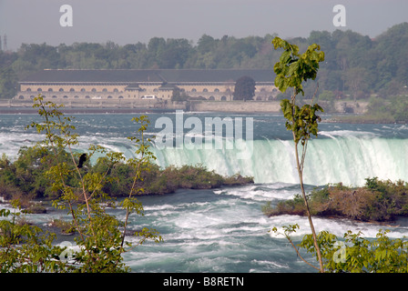 Niagara Falls matin Banque D'Images