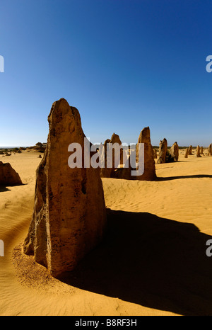 Les Pinnacles, Australie de l'ouest du Parc National de Nambung formations calcaires Banque D'Images