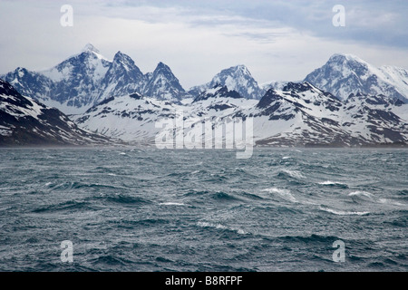 L'île de Géorgie du Sud Les Trois Frères Banque D'Images