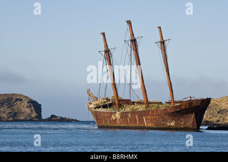 Le port de l'océan, l'île de Géorgie du Sud, UK - Shipwreck Bayard Banque D'Images