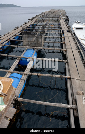 Ferme perlière japonaise Darvel Bay mer de Sulu Malaisie Asie du sud-est Banque D'Images