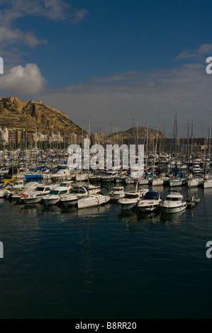 Alicante espagne Marina par le Castillo de Santa Barbara dans la distance Banque D'Images