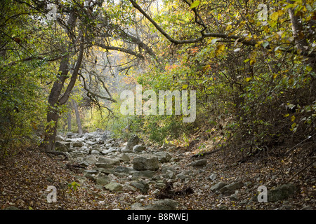 Les grosses pierres dans une grande crique par le Barton Creek Greenbelt à Austin, Texas Banque D'Images