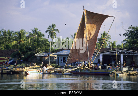 Oruvas vieux bateau dans le port de Negombo, Sri Lanka Banque D'Images