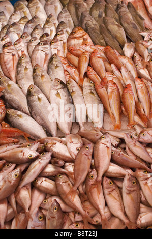 Marché de poissons à Tripoli, Libye, Tripoli Banque D'Images