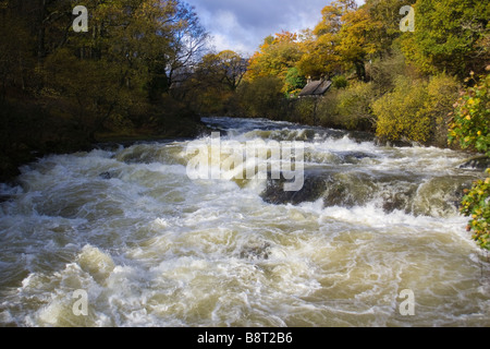 Enflé d'Afon Llugwy river à Capel Curig, Snowdonia, après une période de forte pluie Banque D'Images