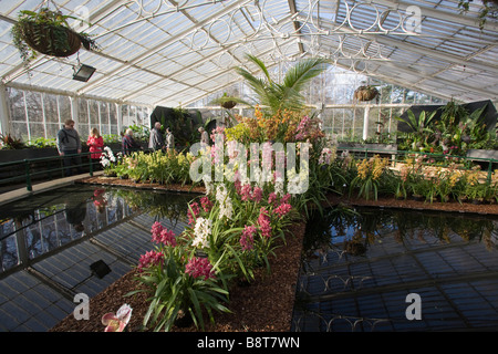 Festival d'orchidées au Jardin botanique royal de Kew Richmond Surrey GO UK 2009 Banque D'Images