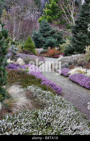 Le JARDIN D'HIVER À RHS ROSEMOOR À LA FIN DE FÉVRIER Banque D'Images