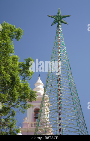 Arbre de Noël dans la Plaza de 9 Julio en face de Catedral Basilica Salta Argentine Banque D'Images