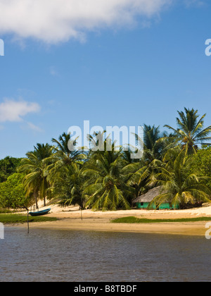 Huttes traditionnelles dans une palmeraie sur un banc de sable de la rivière Rio Preguiças Lençois Maranhenses dans le parc national, le Brésil. Banque D'Images