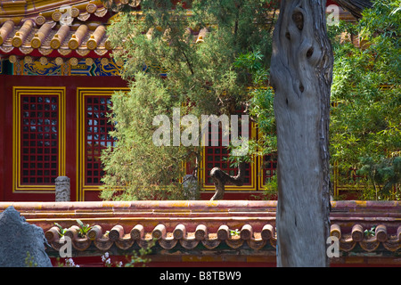 L'art et la nature d'interagir dans la Cité Interdite, Beijing, Chine. Banque D'Images