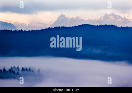 Les collines de la chaîne des Langdale Pikes, dans le Lake District, vue depuis le sud est à travers une forêt Grizedale misty. Banque D'Images