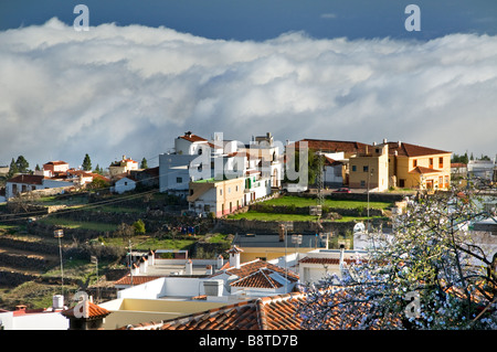 Fleur de montagne village de Vilaflor haut au-dessus des nuages sur les pentes près du Parc national du mont Teide Tenerife Espagne Banque D'Images